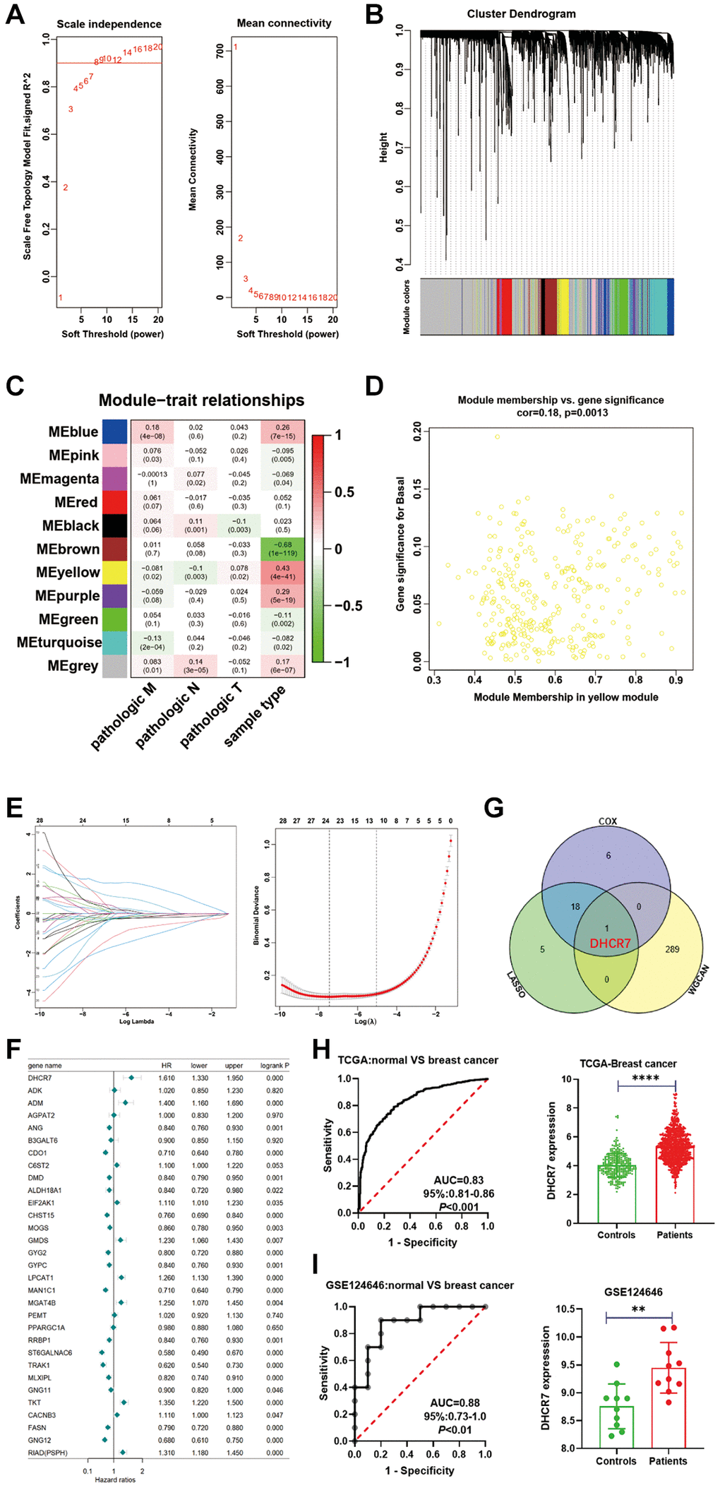 Identification of the key EMRGs in BC samples. (A) Selection of the soft threshold using a scale-free network. (B) Co-expression modules of BC using WGCNA. (C) Correlation analysis of gene modules and BC clinical traits. (D) Scatter plot of the yellow module. (E) Screening of key EMRGs by LASSO regression. (F) Cox regression analysis of the 31 EMRGs expression and OS of BC. (G) Venn diagram analysis of key EMRGs. (H) ROC analysis for DHCR7 expression in the TCGA dataset. (I) ROC analysis for DHCR7 expression in the validation dataset (GSE124646). **p ****p 