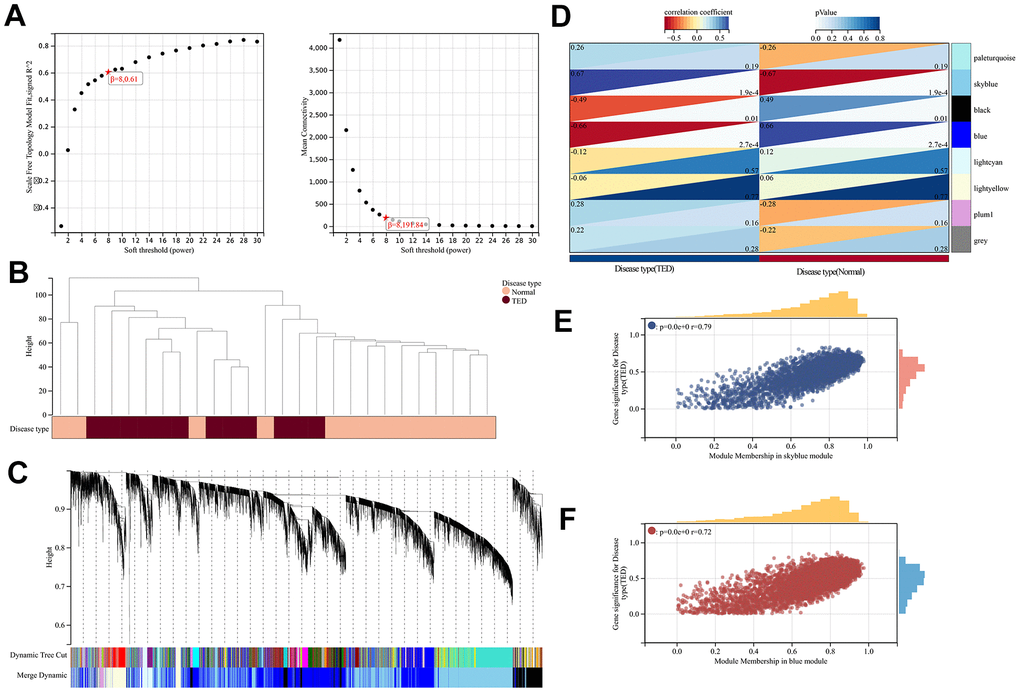 WGCNA. (A) WGCNA of soft threshold screening; (B) Sample clustering and disease type; (C) Co-expression gene clustering; (D) Correlation analysis between co-expression gene modules and clinical characteristics; (E) Correlation analysis between MM and GS in the sky blue module; (F) Correlation analysis between MM and GS in the blue module. MM, module membership; GS, gene significance. *P P P 