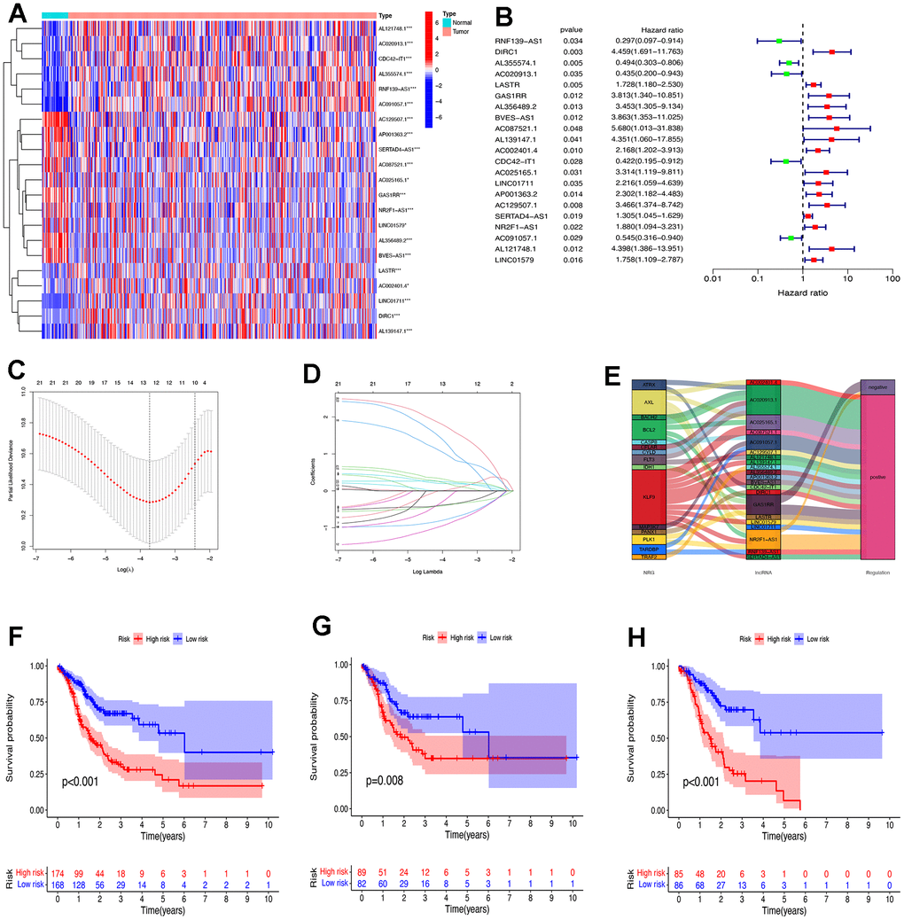 Construct the risk prognostic model. (A) The heat maps of expression profiles of 21 prognostic lncRNAs. (B) The forest maps of expression profiles of 21 prognostic lncRNAs by univariate Cox regression analysis. (C) The LASSO coefficient profile of 21 necroptosis-related lncRNAs. (D) The 10-fold cross-validation for variable selection in the LASSO model. (E) The Sankey diagram of 21 prognostic lncRNAs and necroptosis genes. (F) The survival analysis of all patients. (G) The survival analysis of patients in the test group. (H) The survival analysis of patients in the train group. NRG, necroptosis gene. * P 