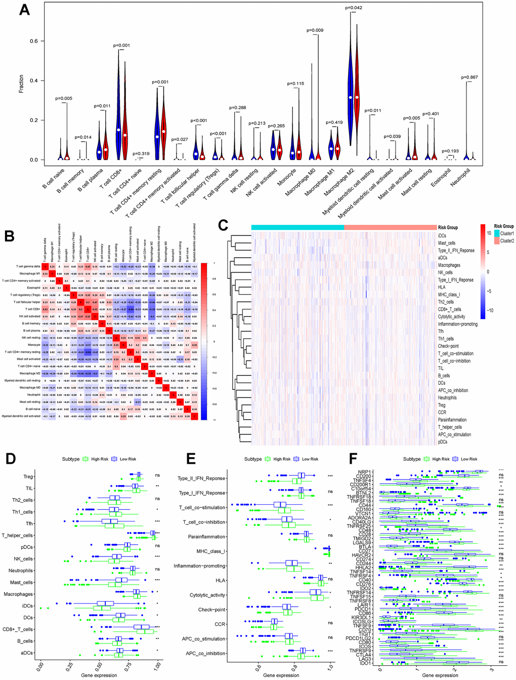 Differences in immune function between high-risk and low-risk groups. (A) CIBERSORT algorithm analysing the landscape of immune infiltration in patients in the high-risk and low-risk groups; (B) Immune cell correlation analysis in the CIBERSORT algorithm; (C) Heatmap showing the ssGESA algorithm analysing the differences in immune cells and immune infiltration in the high-risk and low-risk groups (Cluster1 represents the high-risk group; Cluster2 represents the low-risk group); (D) Bar graph demonstrating the difference in immune cell infiltration in the high-risk and low-risk groups under the ssGESA algorithm; (E) Differences in immune function between high-risk and low-risk groups by the ssGESA algorithm are demonstrated using bar graphs; (F) Bar graphs further demonstrating differences in the expression of immune checkpoints in the high-risk and low-risk groups. (*p 