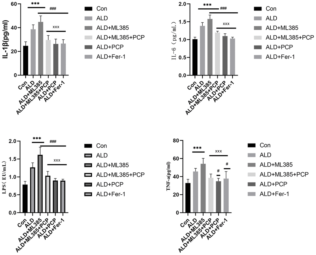 Effect of Poria cocos polysaccharides (PCPs) on inflammatory factors in alcoholic liver disease (ALD) rats. After the intervention of PCP (100 mg/kg), compared with the ALD group and the ML385 group, the LPS, IL-1β, IL-6, and TNF-α levels in rats were significantly increased (P P *P ***P #P ###P xP xxxP
