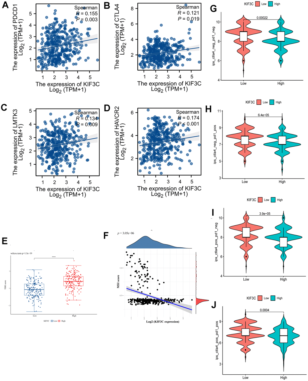Correlation analysis of KIF3C to the immune checkpoint, TIDE score, MSI, and IPS. (A) PD-1, (B) CTLA4, (C) LMTK3, (D) HAVCR2. (E) TIDE score between KIF3C high- and low-expression expression groups. (F) MSI Score. (G) The IPS, (H) IPS-PD-1/PD-L1/PD-L2, (I) IPS-CTLA4, and (J) IPS-PD-1/PD-L1/PD-L2 + CTLA4.