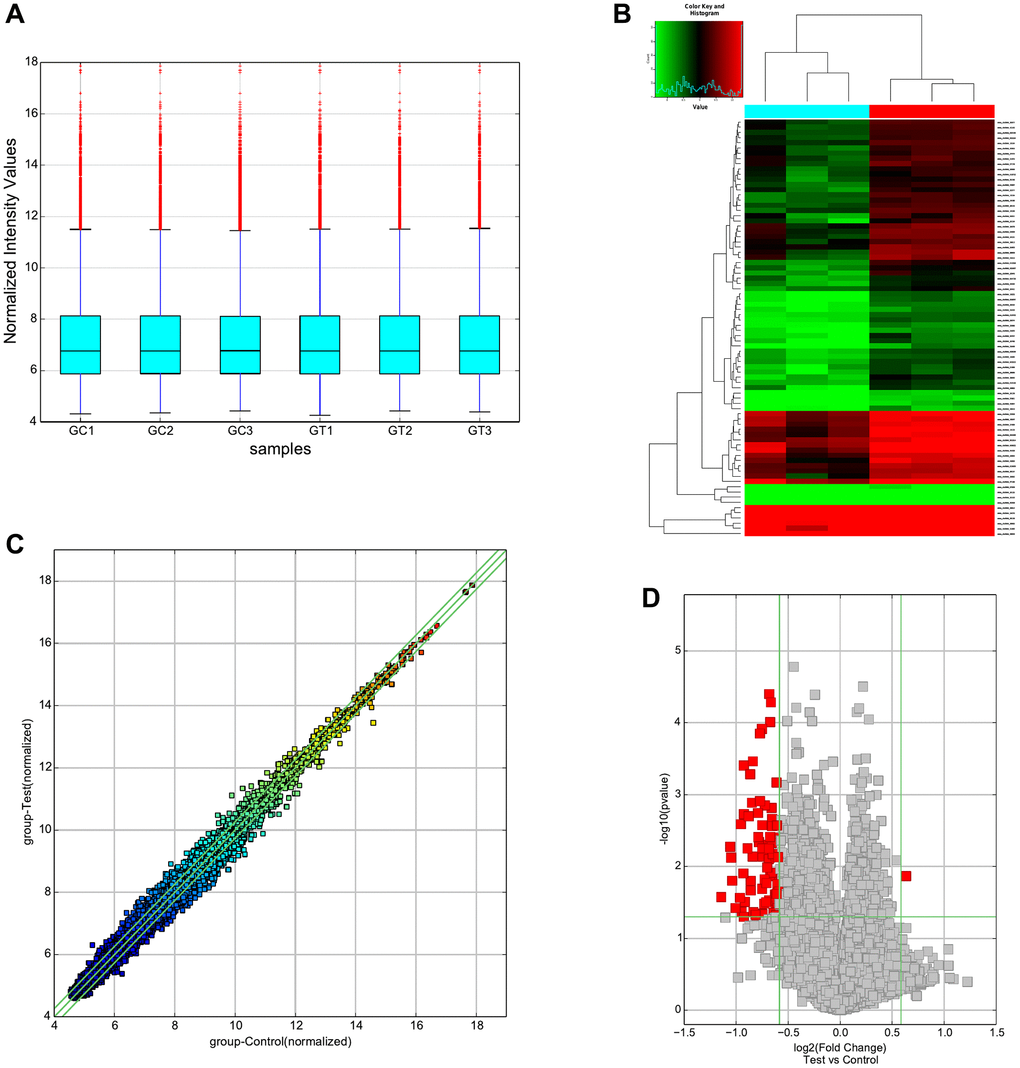 Overview of the microarray signatures. (A) Box plots show the normalized intensities from the two groups. (B) Hierarchical clustering of all DECs with a fold-change ≥1.5 and p-value C) CircRNAs in the Scatter-Plot located above the top green line and below the bottom green line indicated more than a 1.5-fold change of circRNAs. (D) Volcano plot filtering revealed that 80 DECs, including 1 up-regulated and 79 down-regulated circRNAs. Abbreviation: DECs: differentially expressed circRNAs.