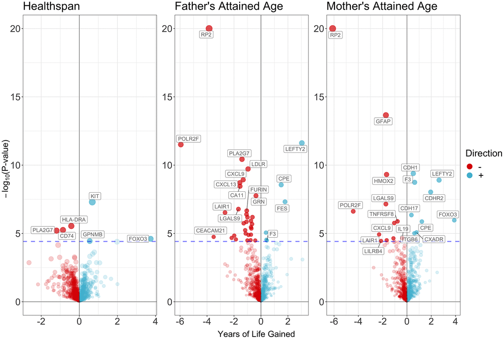 Volcano plot on the associations of proteins with healthspan and lifespan.