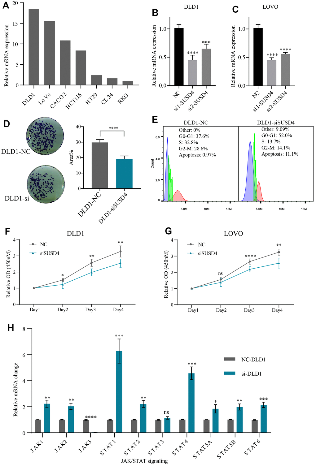 Knockdown of SUSD4 inhibits the cell proliferation and impacts on JAK/STAT pathway. (A) Relative mRNA level of SUSD4 in multiple colorectal cancer cell lines. (B) Validation of siRNA knockdown efficiency in DLD1. (C) Validation of siRNA knockdown efficiency in LOVO. (D) Clonogenic assay and comparison of colony areas. (E) Cell cycle assay. (F) Cell proliferation assays in DLD1. (G) Cell proliferation assays in LOVO. (H) Relative mRNA changes of JAK/STAT pathway key gene between the negative control and knockdown group in DLD1. *p