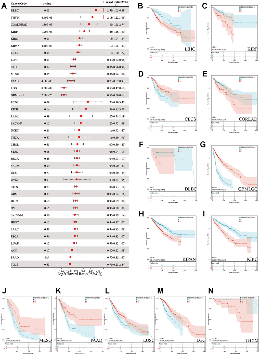 Pan-cancer survival analysis of SUSD4. (A) Forest plot of the pan-cancer survival analysis. (B–N) The Kaplan-Meier plot of TCGA pan-cancer survival profiles with significant differences. The red and blue line represents high and low SUSD4 expression group respectively. HR, hazard radio. CI, confidence interval.