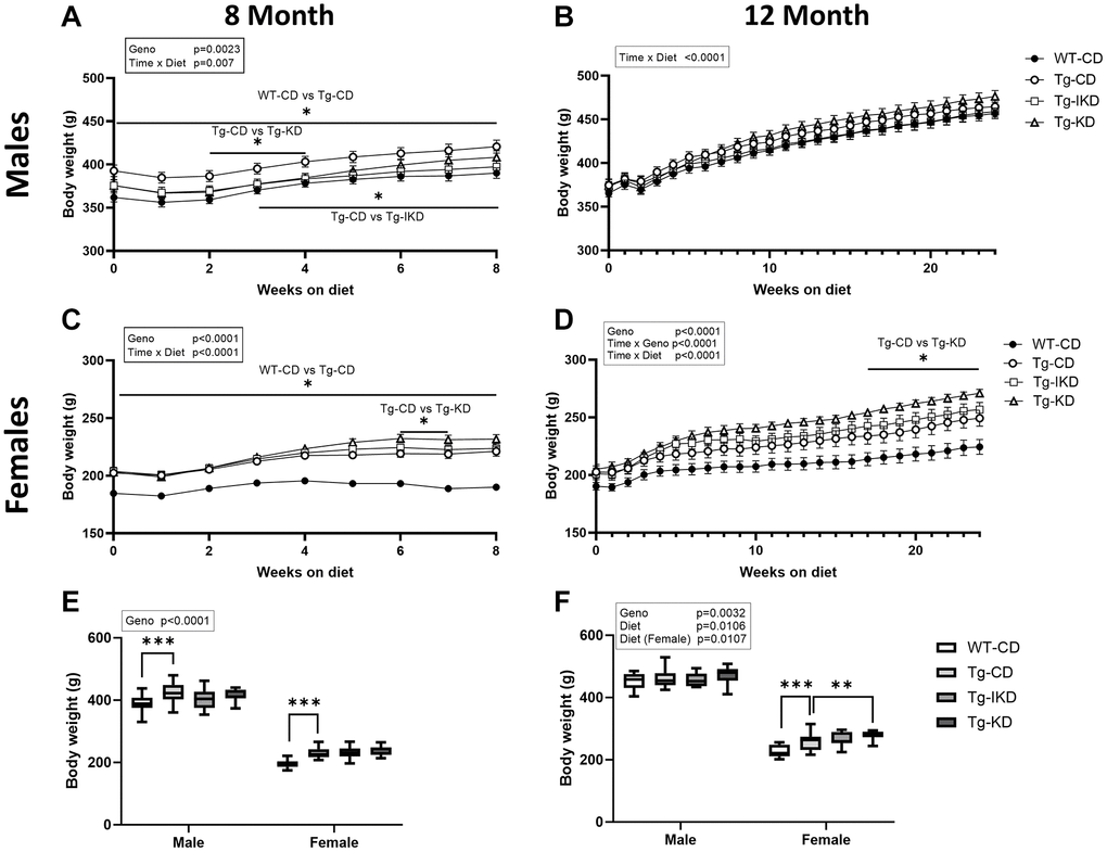 Body weight in wild type (WT) and TgF344-AD (Tg) rats on control diet (CD), intermittent ketogenic diet (IKD) or ketogenic diet (KD). (A–D) Mean body weights ± SEM of male (A, B) and female (C, D) rats fed CD, IKD, and KD fed rats throughout the 2 (8-month, A and C) and 6-month (12-month, B and D) diet intervention (n = 14–15/group). Both sexes and diet time courses showed significant time effect (p E) or 12-months (F) of age demonstrated a significant sex (p ∗p ∗∗∗p 