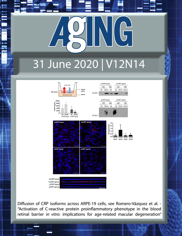 The cover features Figure 2 "Diffusion of CRP isoforms across ARPE-19 cells“ from Romero-Vázquez et al.