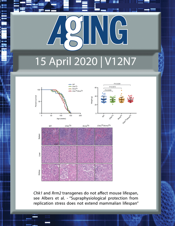 The cover features Figure 2 "Chk1 and Rrm2 transgenes do not affect mouse lifespan“ from Albers et al.