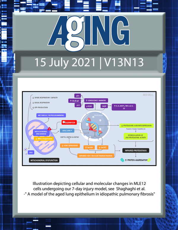 The cover features Figure 8 "Illustration depicting cellular and molecular changes in MLE12 cells undergoing our 7-day injury model“ from Shaghaghi et al.