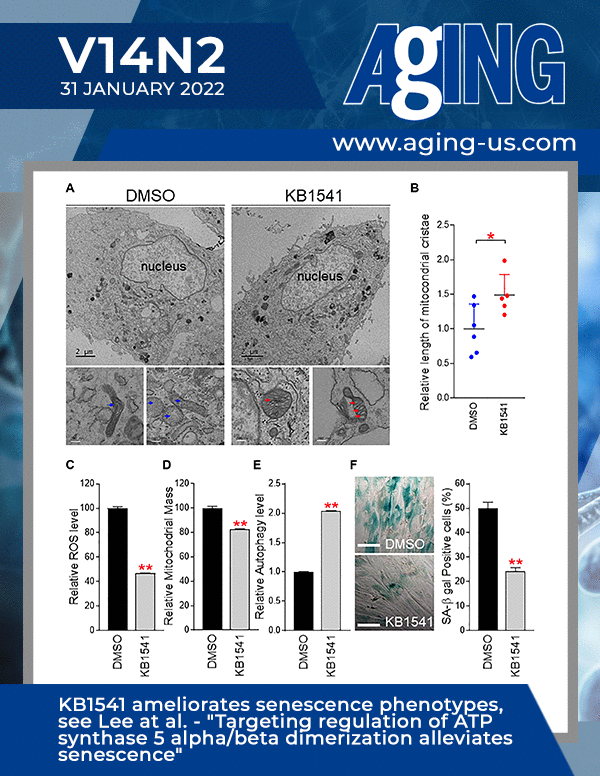 The cover features Figure 5 "KB1541 ameliorates senescence phenotypes" from Lee et al.