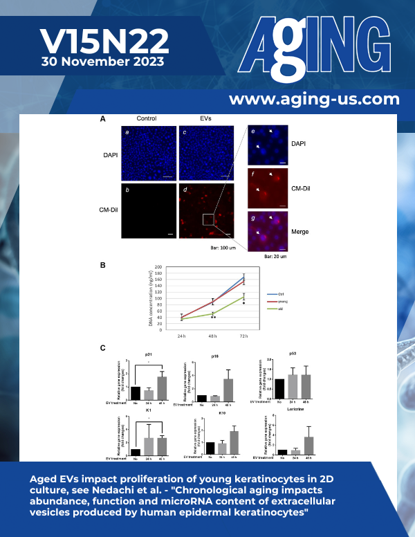 The cover features Figure 5 "Aged EVs impact proliferation of young keratinocytes in 2D culture" from&nbsp;Nedachi et al.