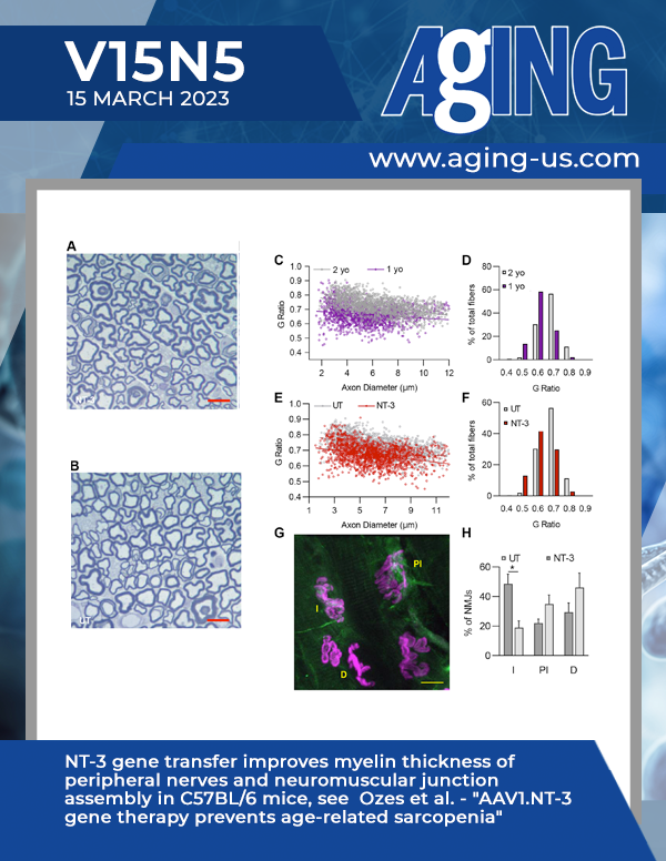 The cover features Figure 4 "NT-3 gene transfer improves myelin thickness of peripheral nerves and neuromuscular junction assembly in C57BL/6 mice" from Ozes et al.